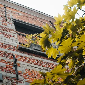 Appartement Duplex In Historical Centre With Private Courtyard, Antwerpen